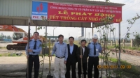 Tet-trong-cay-1